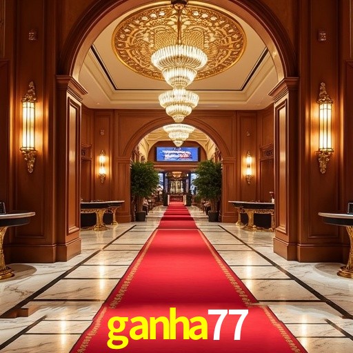 Apostas de Tênis ganha77